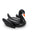 swan pool floats starwake black