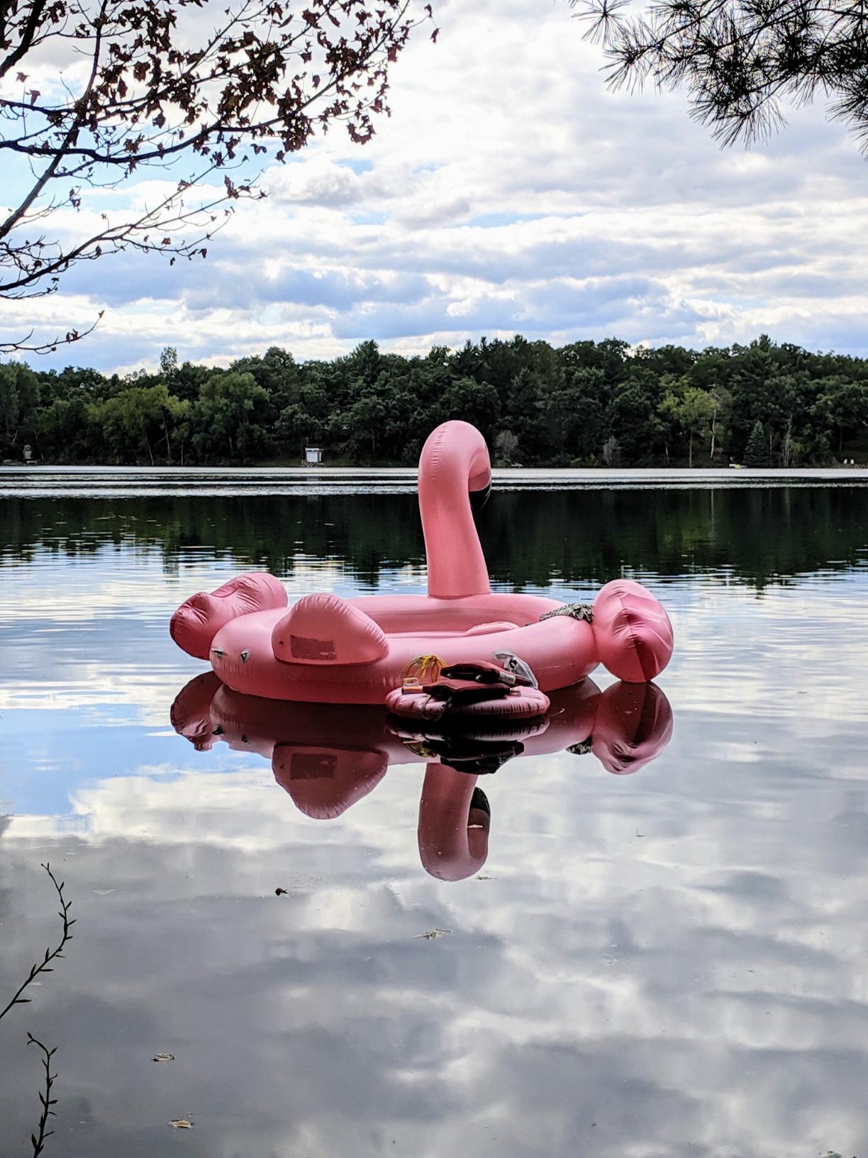 pink flamingo pool float starwake in river